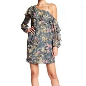 Haute Hippie Silk Floral One-Shoulder Ruffle Mini Dress Med Boho Party Spring